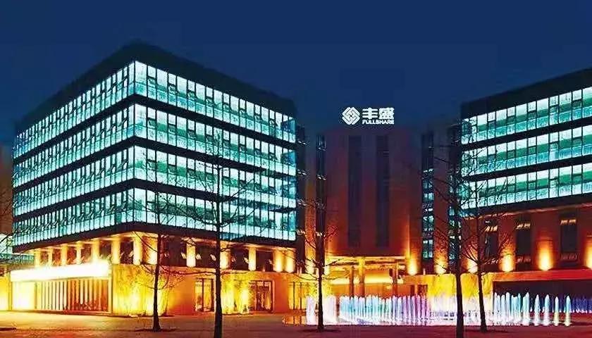 丰盛债务,丰盛控股违约