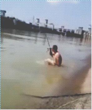 搞笑动图gif兔子,搞笑动图gif猫咪