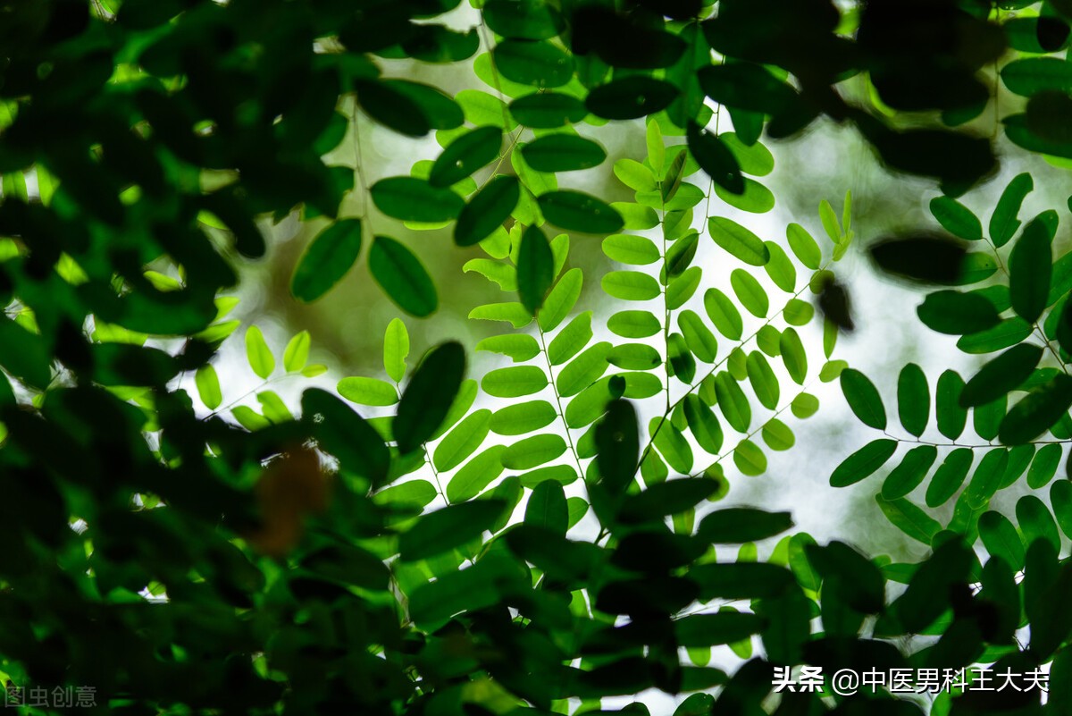 肾阴亏虚湿热内蕴做什么运动,肾阴虚下焦湿热怎么治