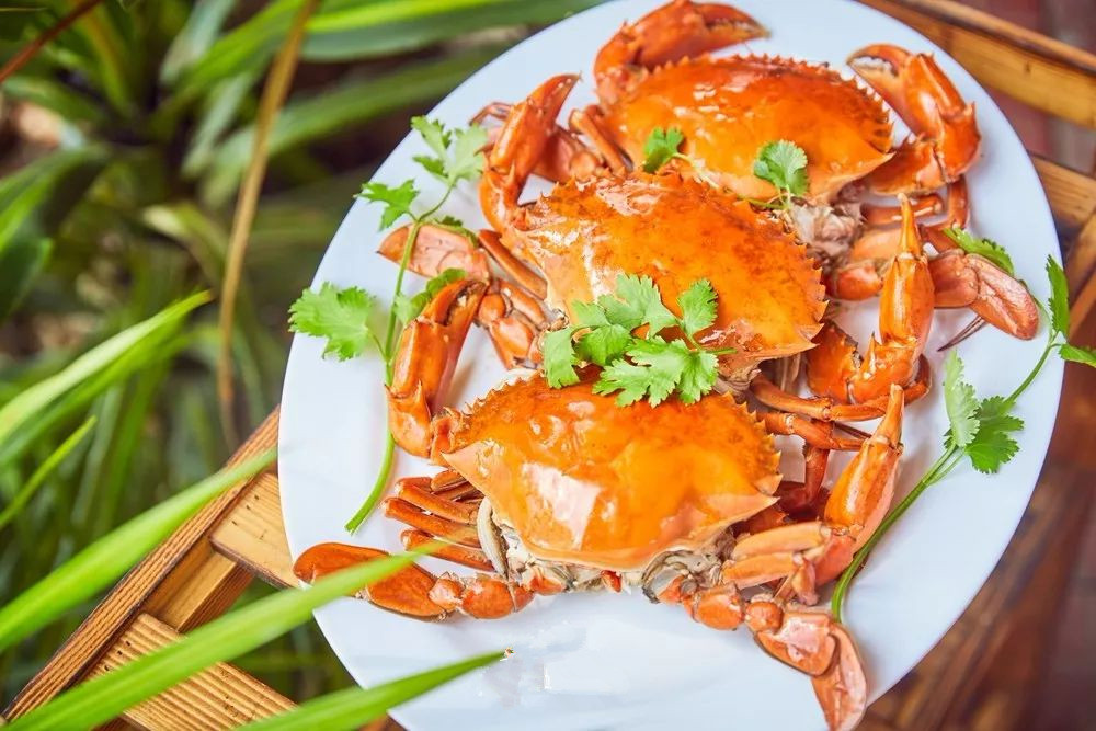 海南特色美食万宁,海南万宁的特产