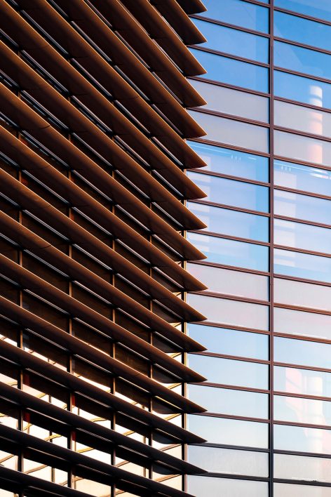 天津泰达一中——神奇的“麻花辫”