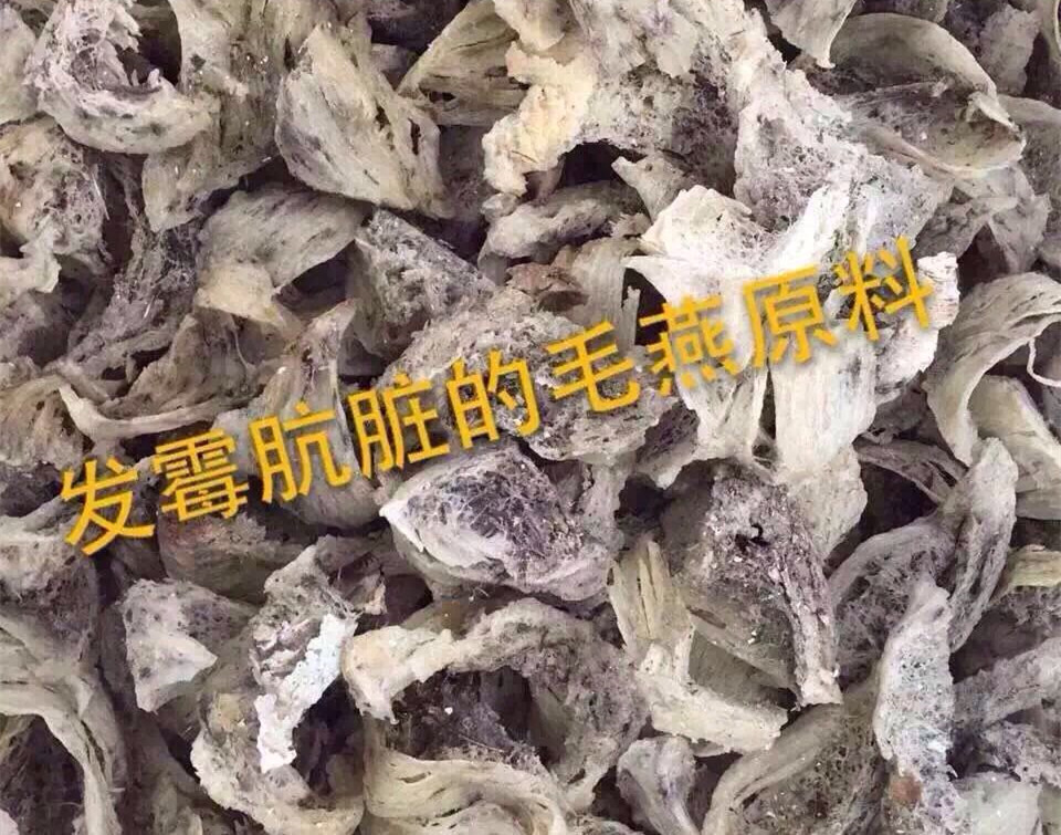 真假燕窝的快速鉴别方法,燕窝造假现场