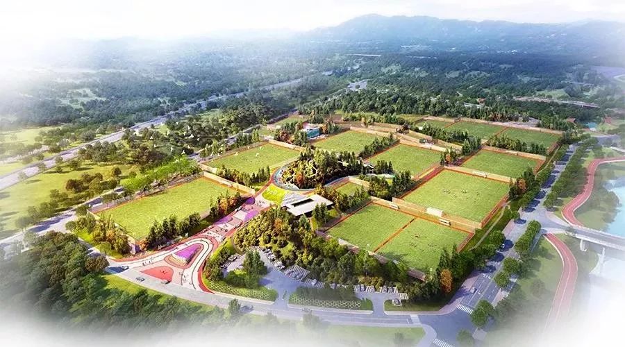 内江交通建设最新消息,2022全面开挂