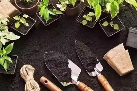 咖啡渣的妙用视频大全,咖啡渣的妙用护肤