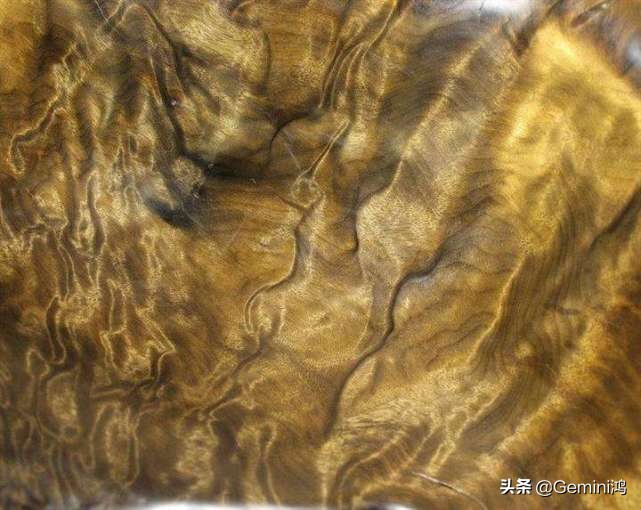 金丝楠木什么味道有什么特征,金丝楠木什么味道一股木屑味