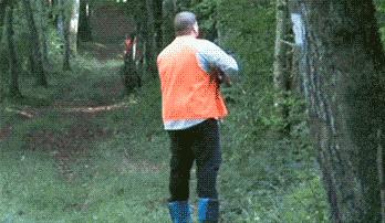 美国野猪泛滥成灾的真实原因,野猪泛滥成灾了家猪攻击野猪