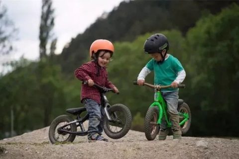 平衡车扭扭车滑板车,成人扭扭车滑板车教程