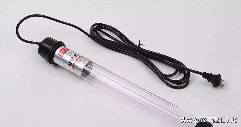 养鱼灭蚊虫最佳方法,养鱼驱蚊最好的方法