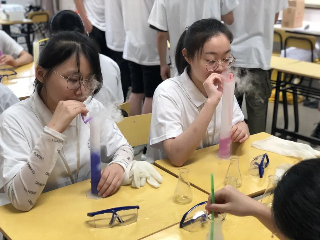 合肥一中蒙特威高中,合肥一中美国高中