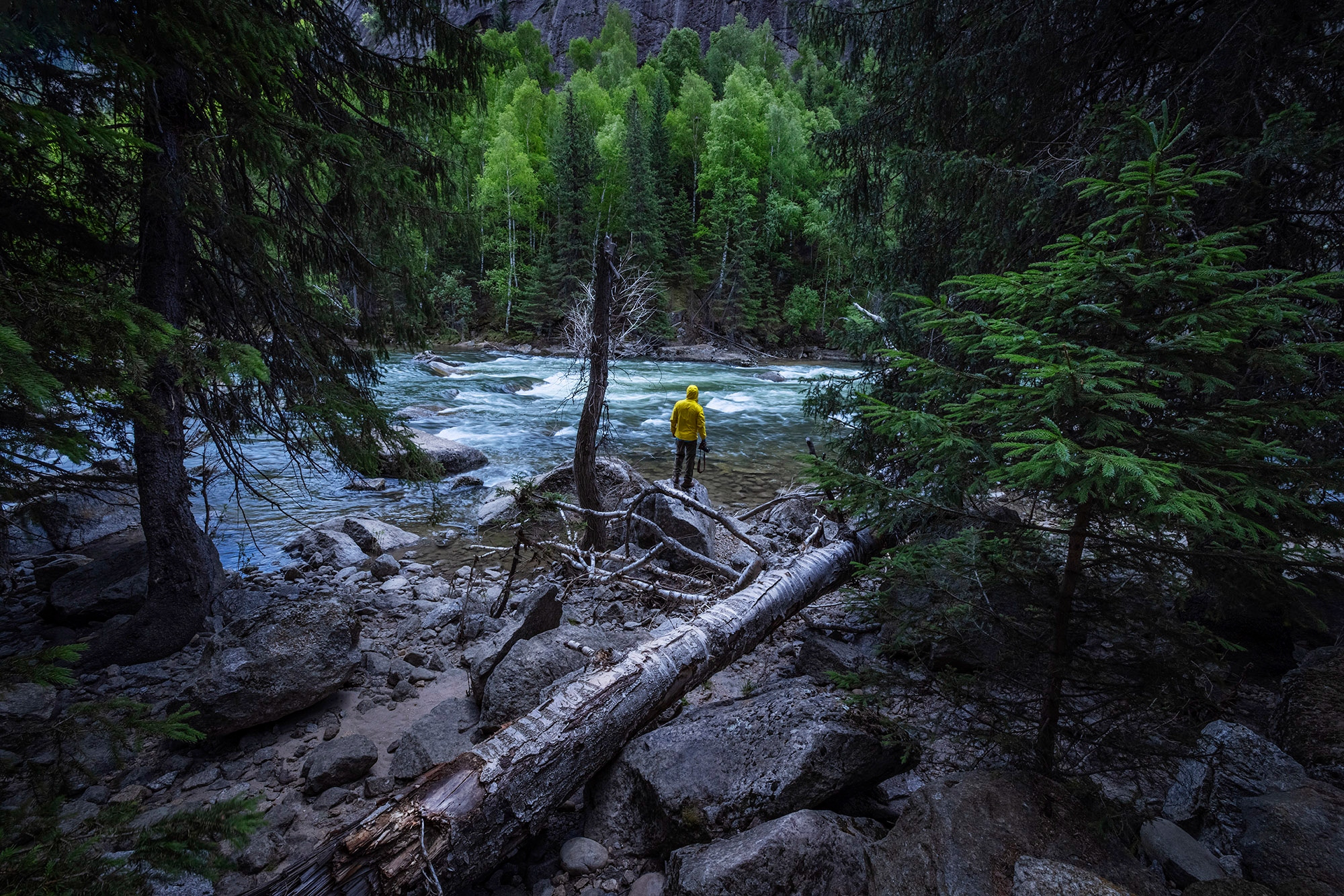 eosr5适合风光摄影吗,eosr和r5哪个拍视频好