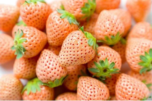 孕妇买草莓被婆婆和老公斥责 (孕妇买天价草莓)