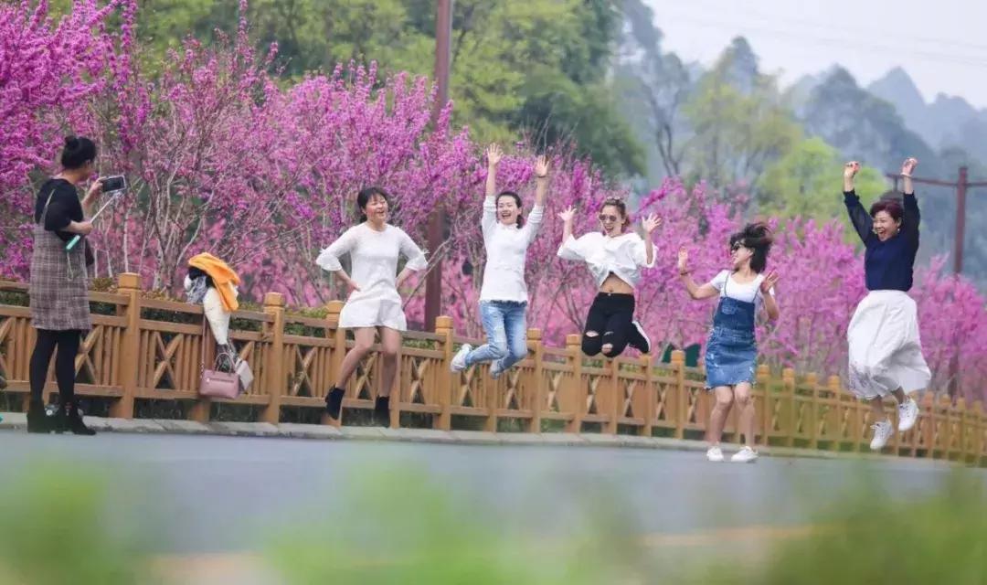 乐山市生态文明,庆祝新中国成立70周年特辑宣讲