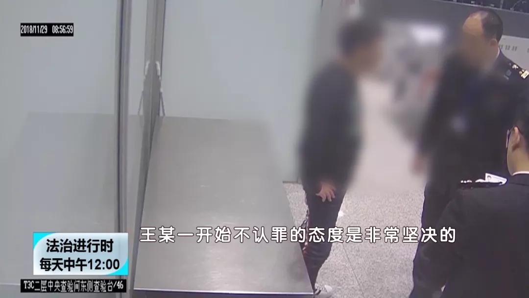 【BTV-我是检察官】认罪认罚背后的故事④：犯罪团伙*私走**高鼻羚羊角303根，价值606万元