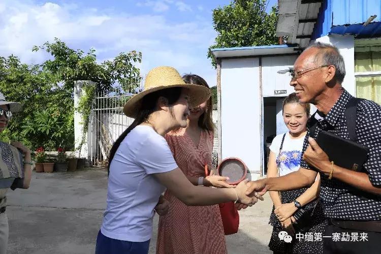 泰国顶级睡莲博士Dr.Nopchai版纳行，被勐景来圈粉