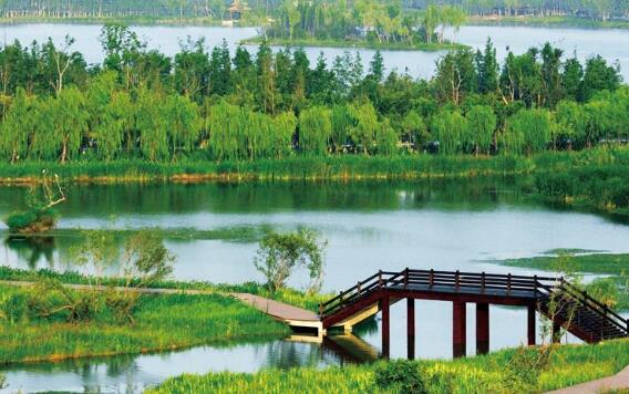 徐州十大好玩的旅游景点，龟山汉墓是西汉时期第六代君主的夫妻合葬墓，气势雄伟罕见