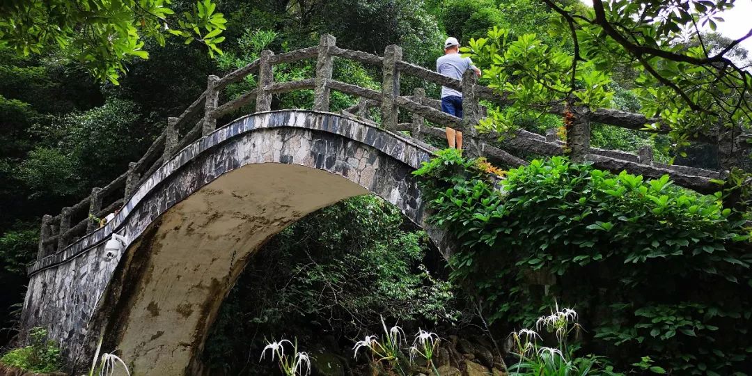 贺州姑婆山景区国家森林公园,贺州姑婆山森林公园路线
