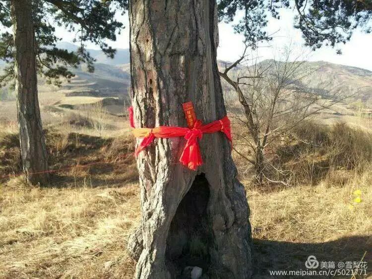 静乐县刁儿沟村,静乐县刁儿沟小学