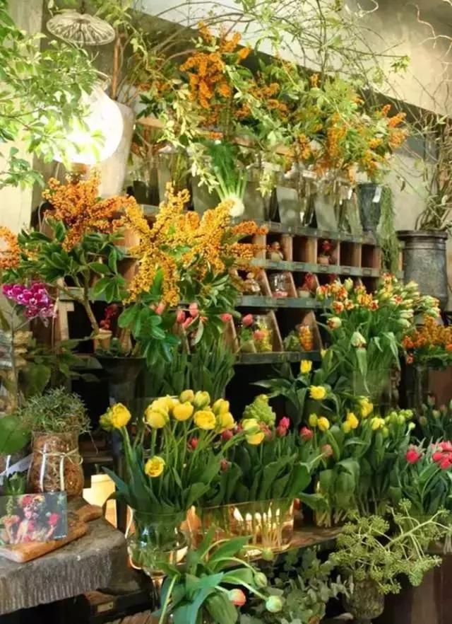 开一家有情怀赚钱的花店,全部积蓄开一家花店