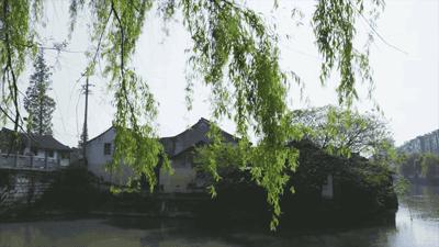 全国最好吃的7只粽子，看看有没有你家乡的