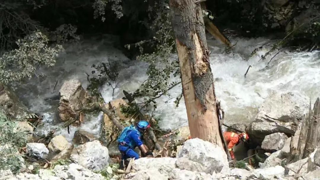 80后山东人闯荡金三角，不惧枪口顶额头，在牛棚直播卖光凤梨