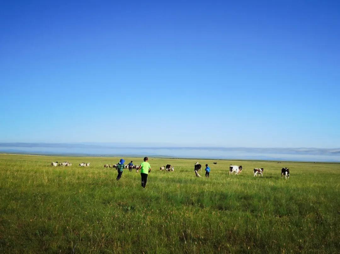 亲子成长夏令营,亲子夏令营招募江苏