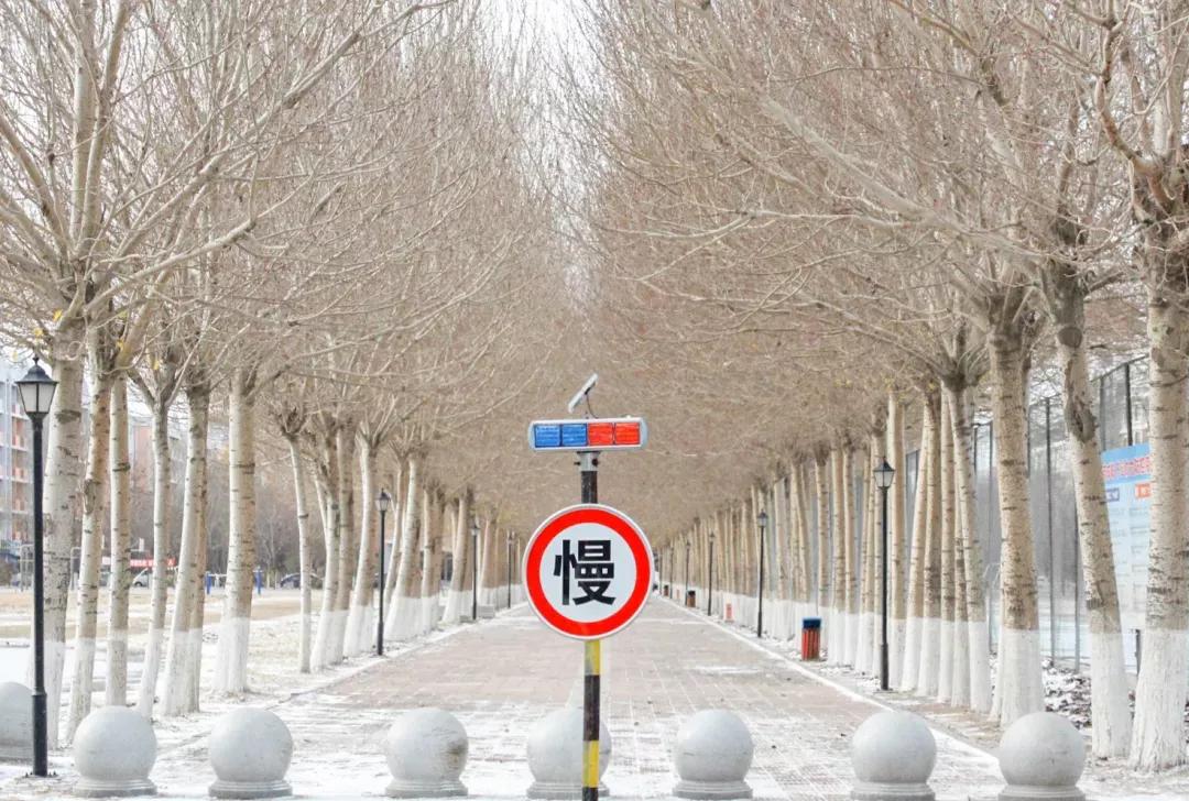 辽宁省民办大学,辽宁理工学院是民办吗