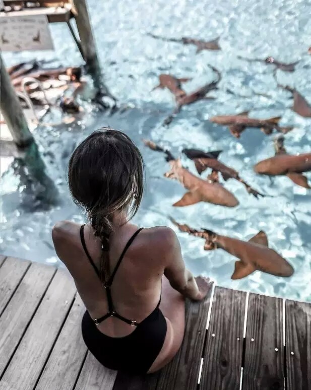 天蝎座和天蝎座的性格怎样,天蝎座和天蝎座的性格适合相处吗