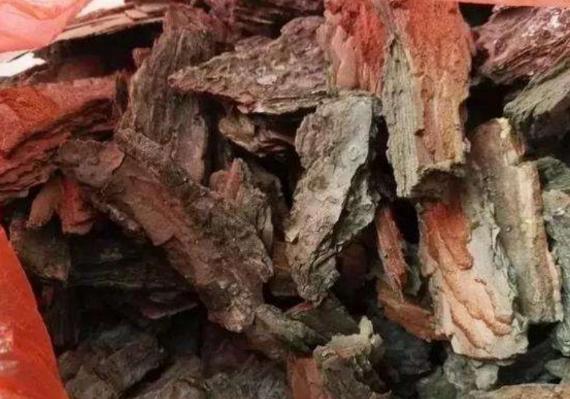 花根不透气了会怎样,花根不透气怎么办