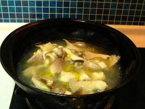 饭前喝汤胜过药方,饭前喝汤胜过药方这句话是对的吗