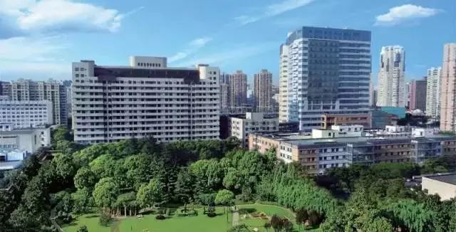上海最顶级的私立医院,上海最高逼格医院