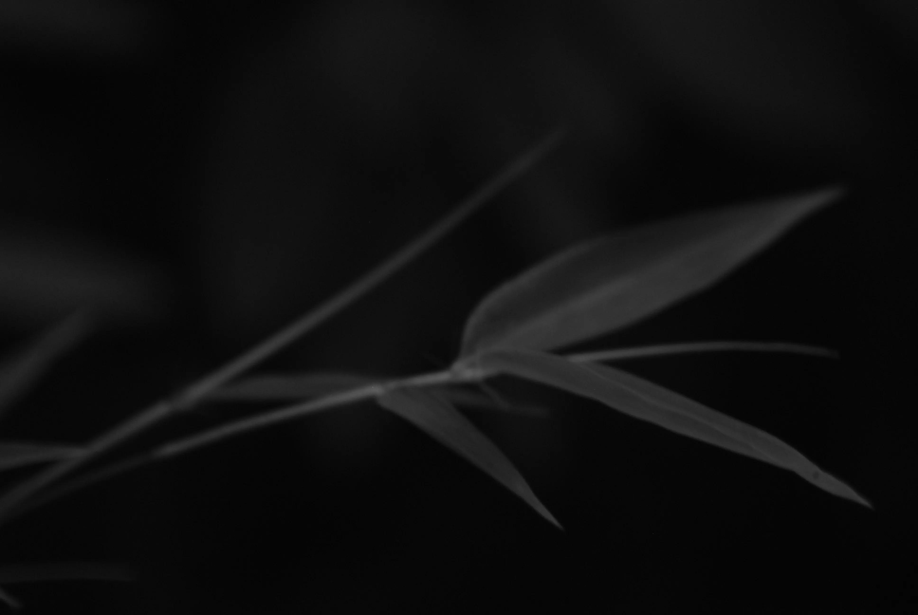 1000元二手全画幅单反相机推荐,2022最建议买的二手单反相机