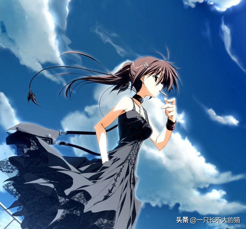 好看的少女动漫推荐日漫,推荐御姐动漫