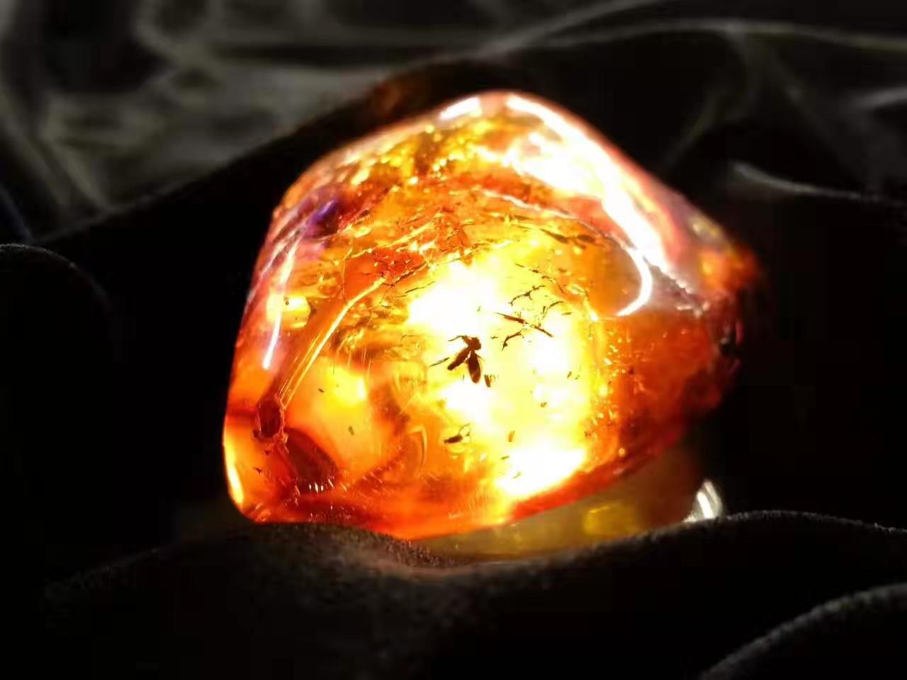 去圣彼得堡唯一的琥珀工厂打卡