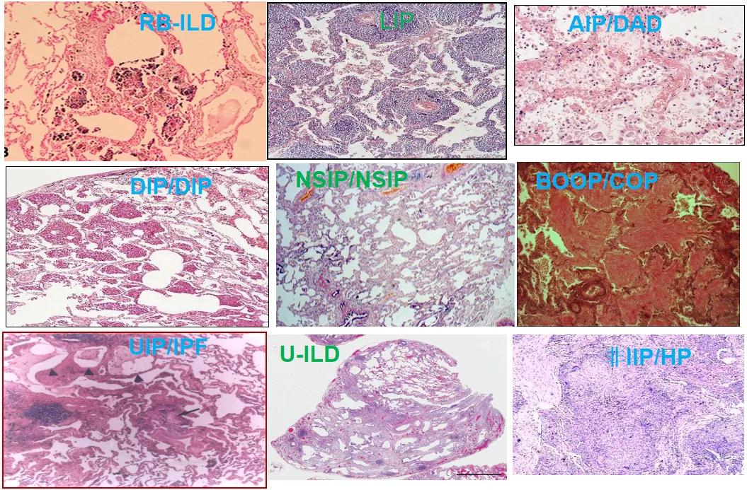 代华平视频,中日友好医院代华平