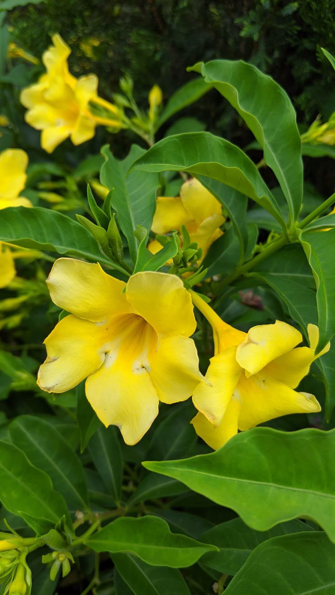 再见七月你好八月句子,再见七月你好八月视频