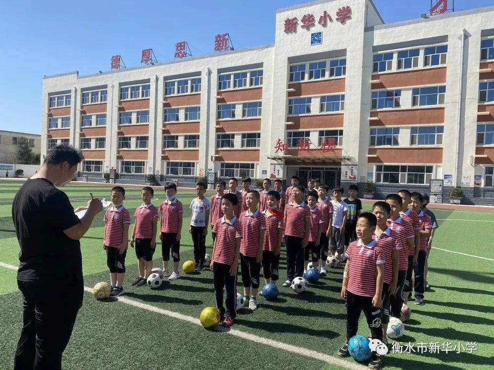 社团活动小学兴趣小组,新华小学三年级参加兴趣小组