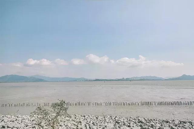 深圳游玩路线攻略必去的地方推荐,深圳4天自驾游攻略最新路线