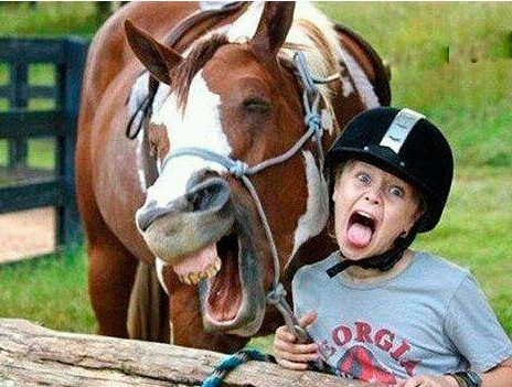 心动壁纸水墨巨兽掌心蜡烛超级跑车水杯小熊古风小姐姐小丑