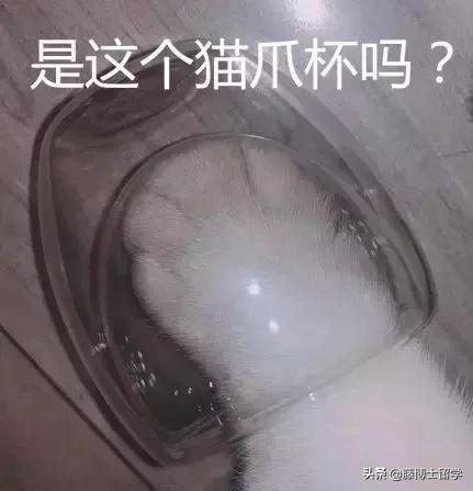 星巴克圣杯之战谁赢了,星巴克被炒的最贵的杯子