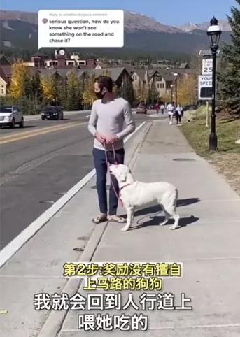 汪星人名字叫什么,汪星人的名字