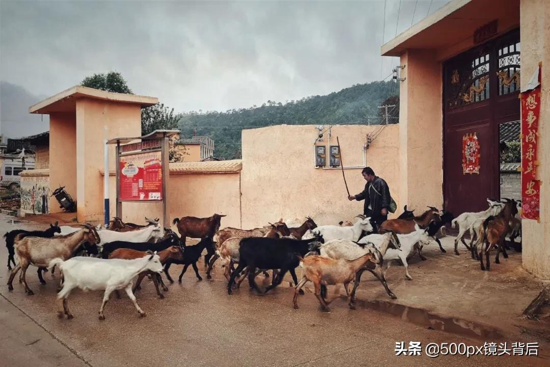 旅行干货与必杀技手机摄影,手机摄影旅游攻略