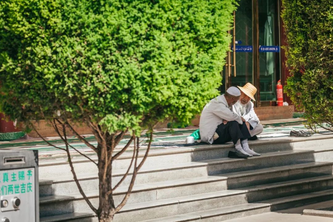 只要你面朝青海湖，八月依旧春暖花开