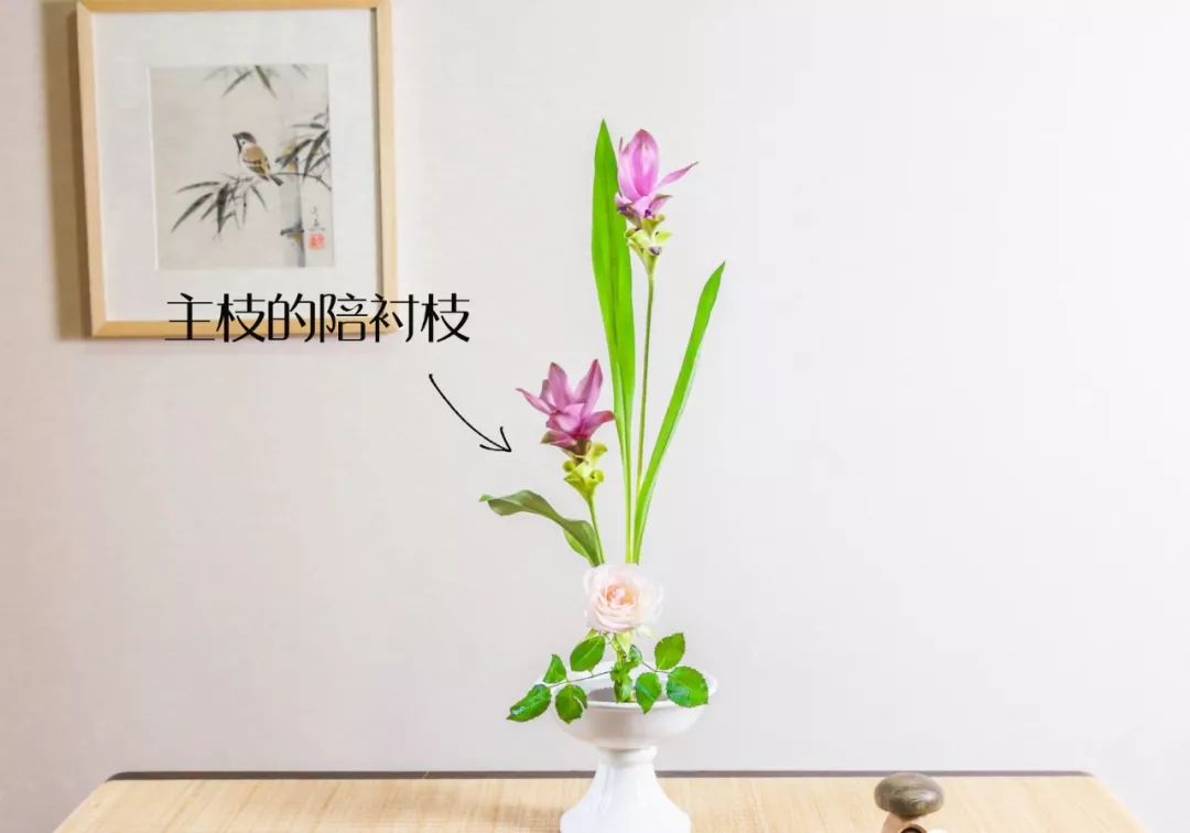 小原流花道国际标准教程,小流源花道入门教程视频