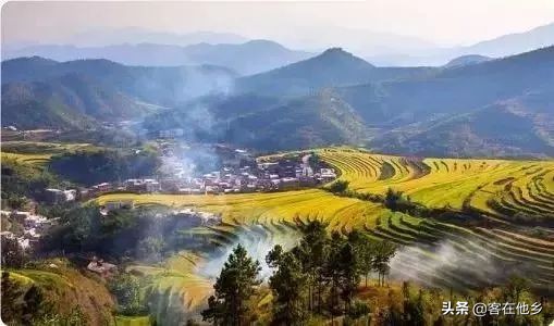 本港台播放过的动画,本港台曾经推出的纪录片