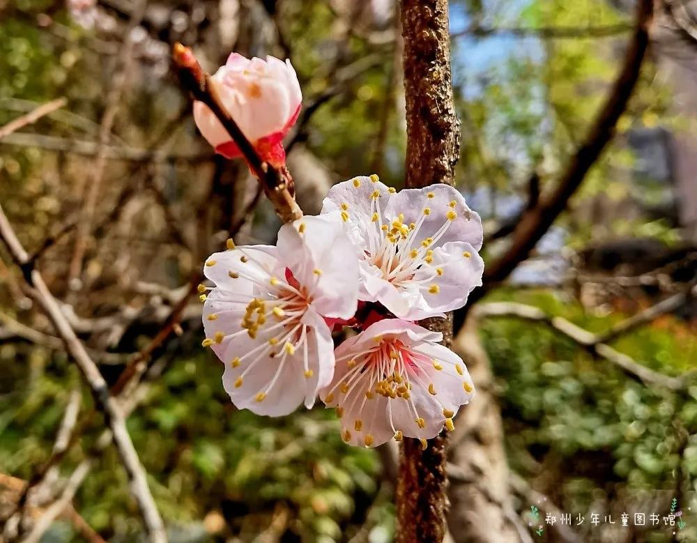 为什么惊蛰这天要打小人,二十四节气惊蛰民间传说