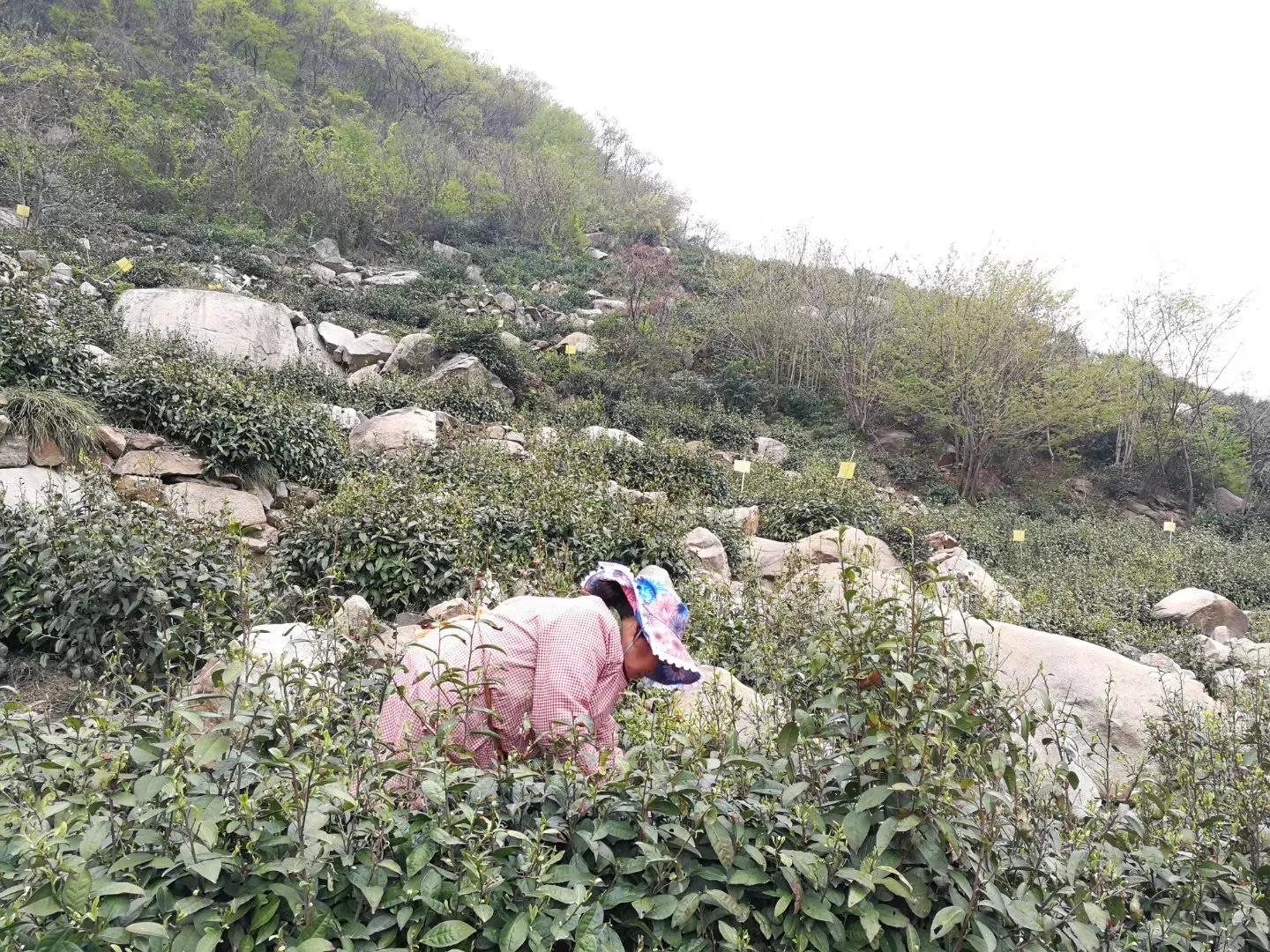 真的会有人愿意听我诉说吗,有哪些真心话是想对你男朋友说的