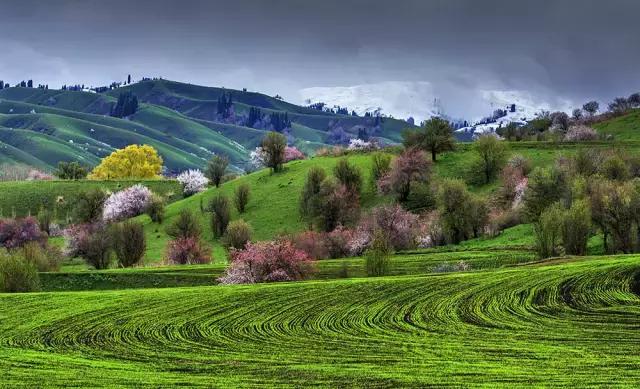 国家认证！*疆新**又一城市成为“中国天然氧吧”，大自然“空调房”就在……