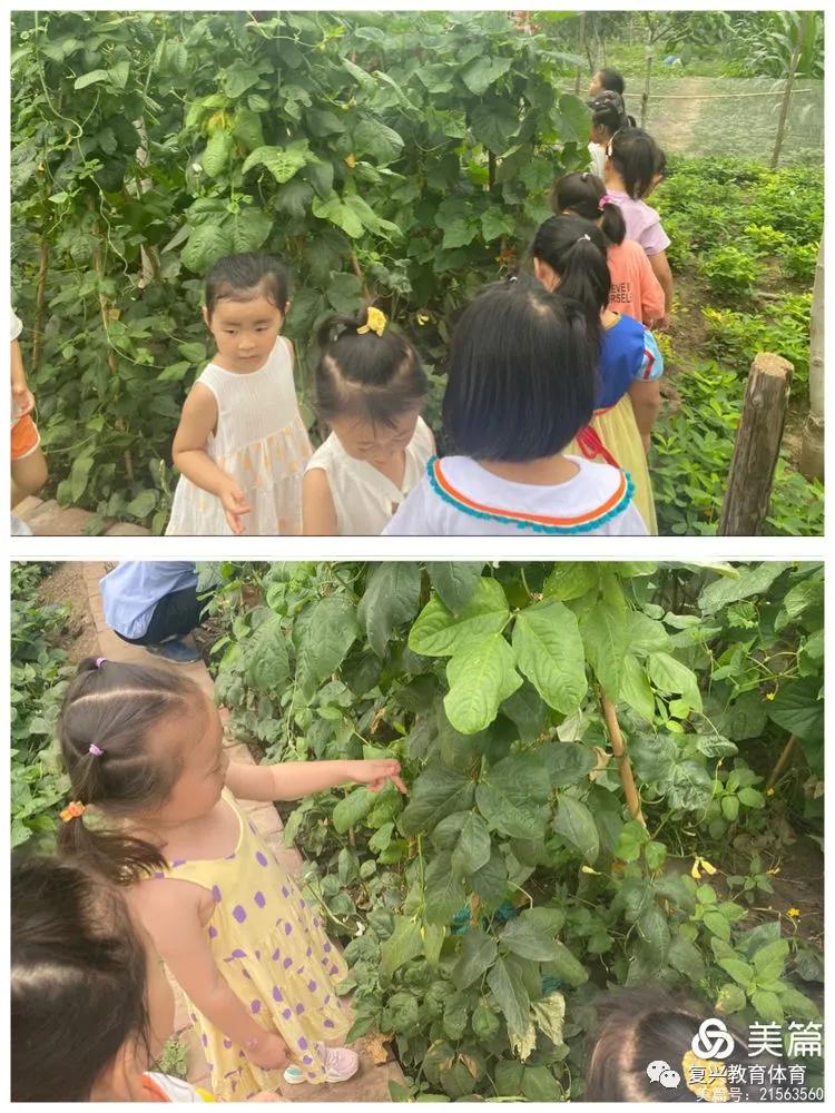 邯郸复兴区第一幼儿园环境,邯郸复兴区第一幼儿园是公立的吗