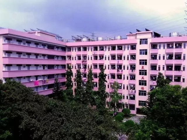 广东省建设职业技术学院高职高考,广东建设职业技术学院招生简章