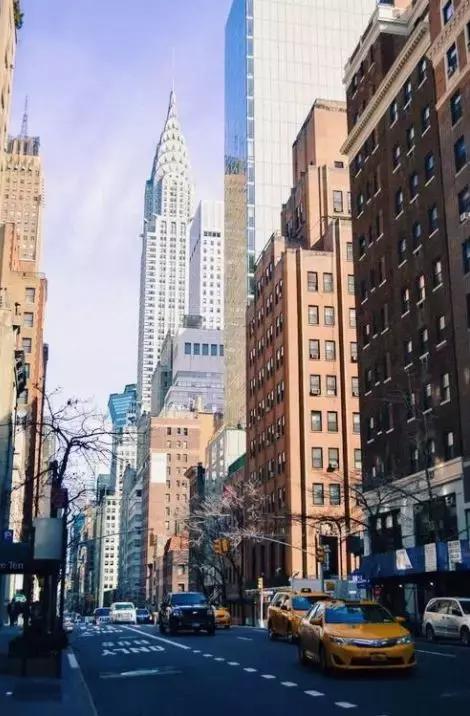 与自然来一场寻香之旅,追寻香气感知香奈儿的五感之旅